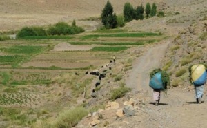 Journée d’étude à Tahanaout : Le développement des régions montagneuses passé au crible fin