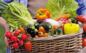 Les prix des légumes poursuivent leur baisse