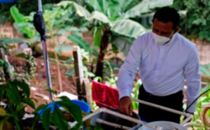 Au Salvador, pisciculture et potagers contre les pénuries en temps de pandémie