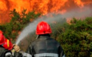 ​L’incendie de la forêt domaniale de Ghiraya maîtrisé