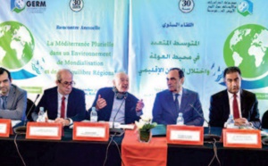 Annuaire du GERM:  “La Me ́diterrane ́ e plurielle dans un environnement de mondialisation et de de ́ se ́ quilibre re ́ gional”