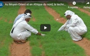 Au Moyen-Orient et en Afrique du nord, la technologie façonne le futur de l'agriculture