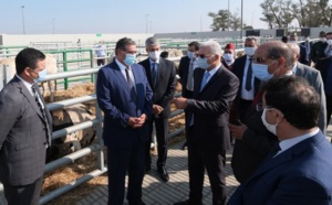Inauguration à Sidi Bennour d’un marché moderne à bestiaux