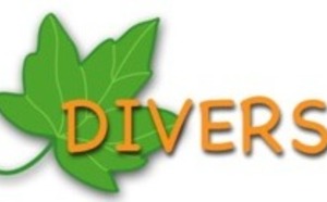 Divers
