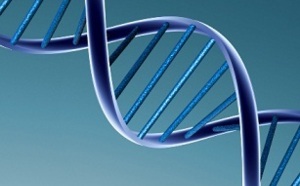 La génétique peut-elle expliquer  nos opinions politiques?