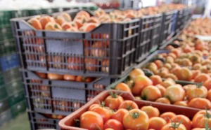 Hausse de la valeur des exportations agricoles durant la campagne 2019-2020