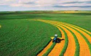 L’ agriculture, pièce-maîtresse de la relance économique