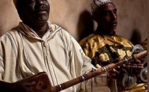 Des soirées sous le signe de la musique gnaouie