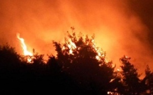 L’Australie face à des dizaines de feux de brousse
