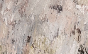«Il fait corps avec la peinture tout en la pensant, la scrutant»