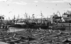 Le port de pêche  de Laâyoune paralysé