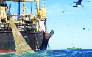 Madrid met la pression pour parvenir à un nouvel accord de pêche avec le Maroc : Nouveau round de négociations avec l’UE à Rabat