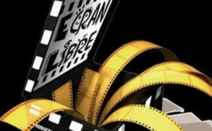 Soutien à l'organisation de festivals de cinéma pour 2013