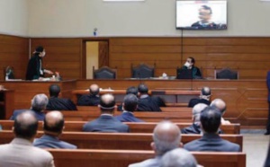 393 audiences à distance du 2 au 5 novembre