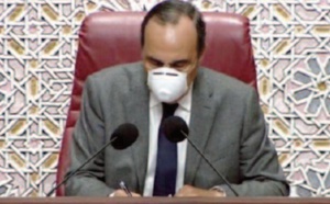 Commission des pétitions: Présentation de deux propositions de loi organiques