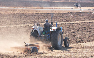 Les précipitations font le bonheur des agriculteurs