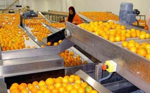 Des perspectives prometteuses pour les exportations des produits agricoles