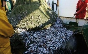5ème round des négociations  de pêche à Rabat