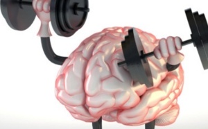 Faire du sport améliore les performances du cerveau