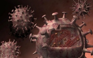 Le virus A H1N1 tue à Dakhla