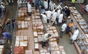 Hausse des exportations des produits de la mer Hausse des exportations des produits de la mer