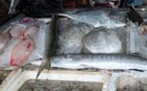 Hausse des prix des poissons, fruits de mer et viandes