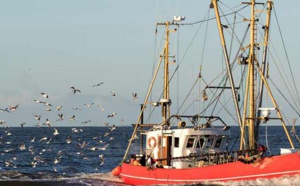 Les exportations des produits de la mer sont d’ une importance majeure dans l’ atténuation du déficit commercial