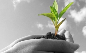 Guelmim valorise ses potentialités agricoles Guelmim valorise ses potentialités agricoles