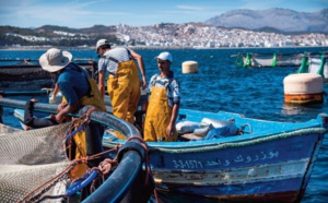 La fièvre migratoire s'empare des patrons de la pêche artisanale