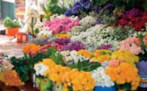 La floriculture se flétrit en temps de crise