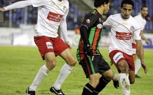 Quand le leader va à la chasse,  on dauphin le remplace