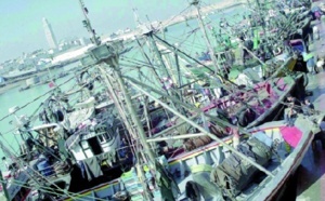 La productivité du secteur de la pêche en deçà des potentialités La productivité du secteur de la pêche en deçà des potentialités