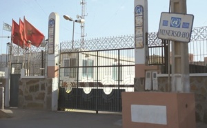 Ross tenté par une nouvelle option au Sahara