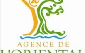 La région de l’Oriental fête le dixième anniversaire  du lancement de l’Initiative Royale dédiée à la région