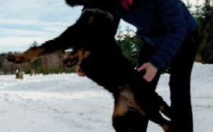 Les Tchèques préparent les chiens pour combattre la Covid-19
