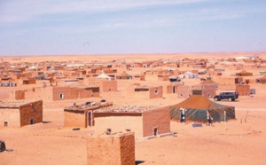 Le dompteur mordu par sa vipère