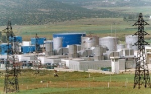 Le FMI appelle à une réforme globale des subventions  à l’énergie Le FMI appelle à une réforme globale des subventions  à l’énergie