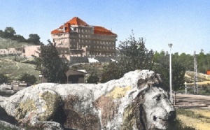 Retour en force de l’activité touristique à Ifrane Retour en force de l’activité touristique à Ifrane