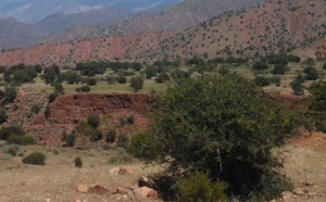 Inauguration de la Maison de l’argan à Smara Inauguration de la Maison de l’argan à Smara