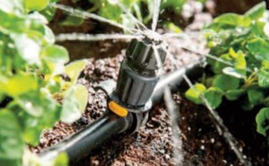 La micro-irrigation, un levier primordial de l’ avenir agricole du Royaume