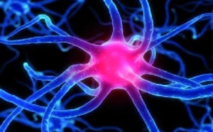 Journée mondiale de la maladie de Parkinson