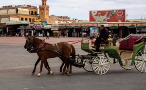 Entre incertitude et espoir, les guides touristiques endurent l’ arrêt du secteur