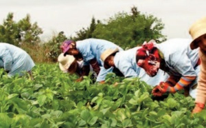 Le taux de participation de la main d’ œuvre féminine marocaine peine à se redresser