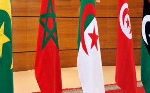 ​Coup d’envoi d’une exposition artistique virtuelle internationale en soutien au projet du grand Maghreb