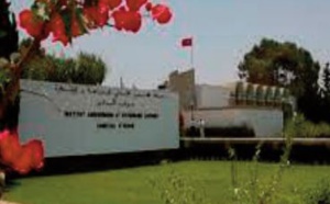 Focus à Rabat sur les opportunités d'investissement dans le secteur agro-alimentaire