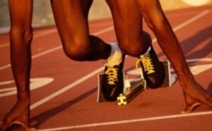 La sélection nationale représentée par 17 athlètes