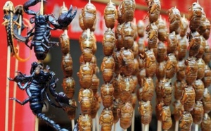 Et si les insectes repoussaient le fléau de la famine ?
