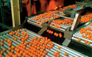 4,5 MMDH programmés en soutien aux investissements privés dans le secteur agricole