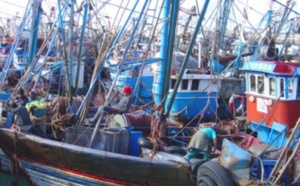 Des moteurs de barques distribués aux pêcheurs à Al Mrissa