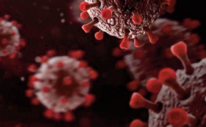 Les chiffres s’affolent. L’OMS se désole